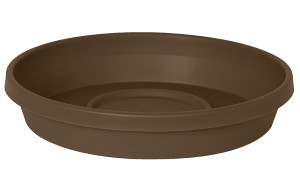 Chocolate, 20ea/6 in