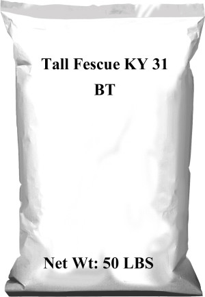 KY 31 BT, 1ea/50 lb