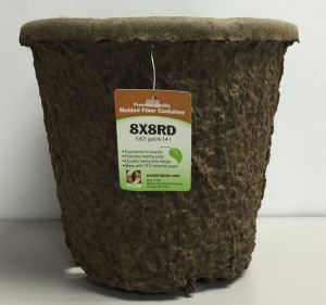 Green, 24ea/8In X 8 in, 1.62 gal