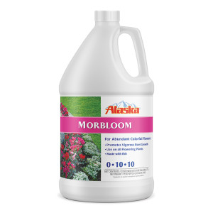 4ea/1 Gal