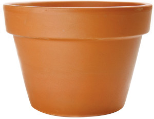 Terra Cotta, 12ea/8.25 in