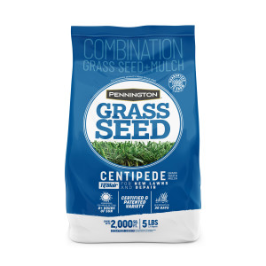 Pennington Centipede TifBlair Penkoted Grass Seed & Mulch 48ea/5 lb