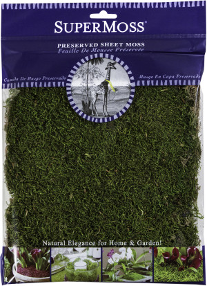 Fresh Green, 12ea/2 oz