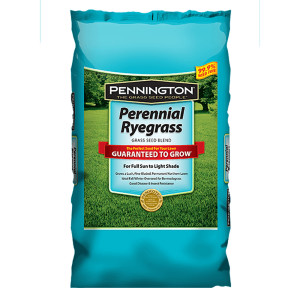 Pennington Perennial Ryegrass Grass Seed Blend 1ea/25 lb