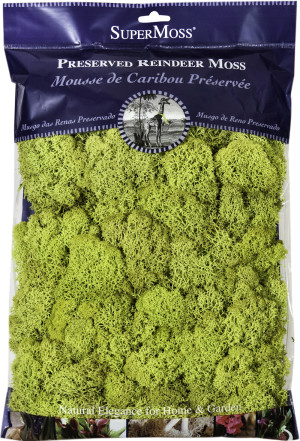 Green, 10ea/8 oz