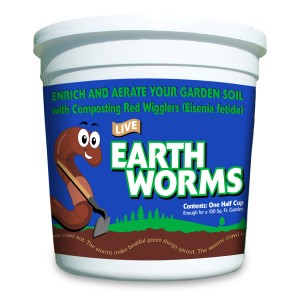 12ea/1/2 Cup (150-300 Worms)