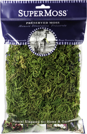 Fresh Green, 12ea/2 oz