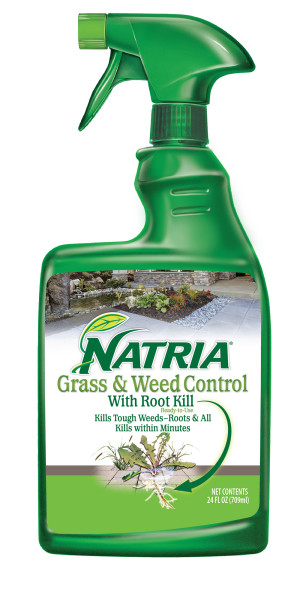 Sprayer, Green Bottle, 4ea/24 oz
