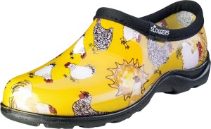 Chicken Daffodil Yellow, 1ea/6