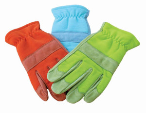Assorted, 12ea/One Size