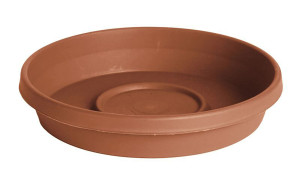 Terra Cotta, 5ea/24 in
