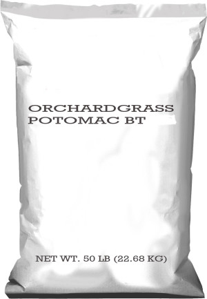 Seed, 1ea/50 lb