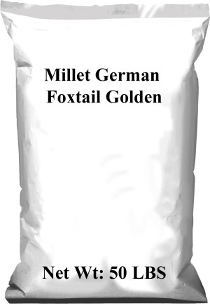 German Foxtail Golden, 1ea/50 lb