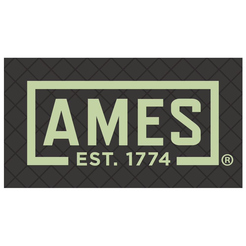 Ames