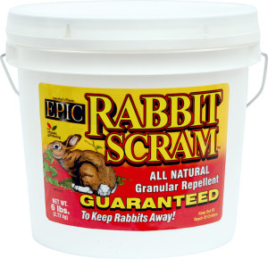 Bucket, 8ea/6 lb