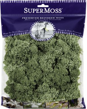 Moss Green, 10ea/4 oz
