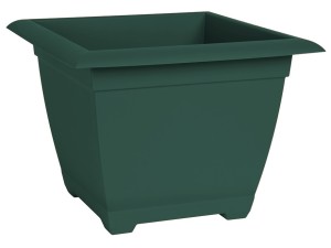 Turtle Green, 10ea/15 in