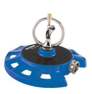 Blue, 6ea